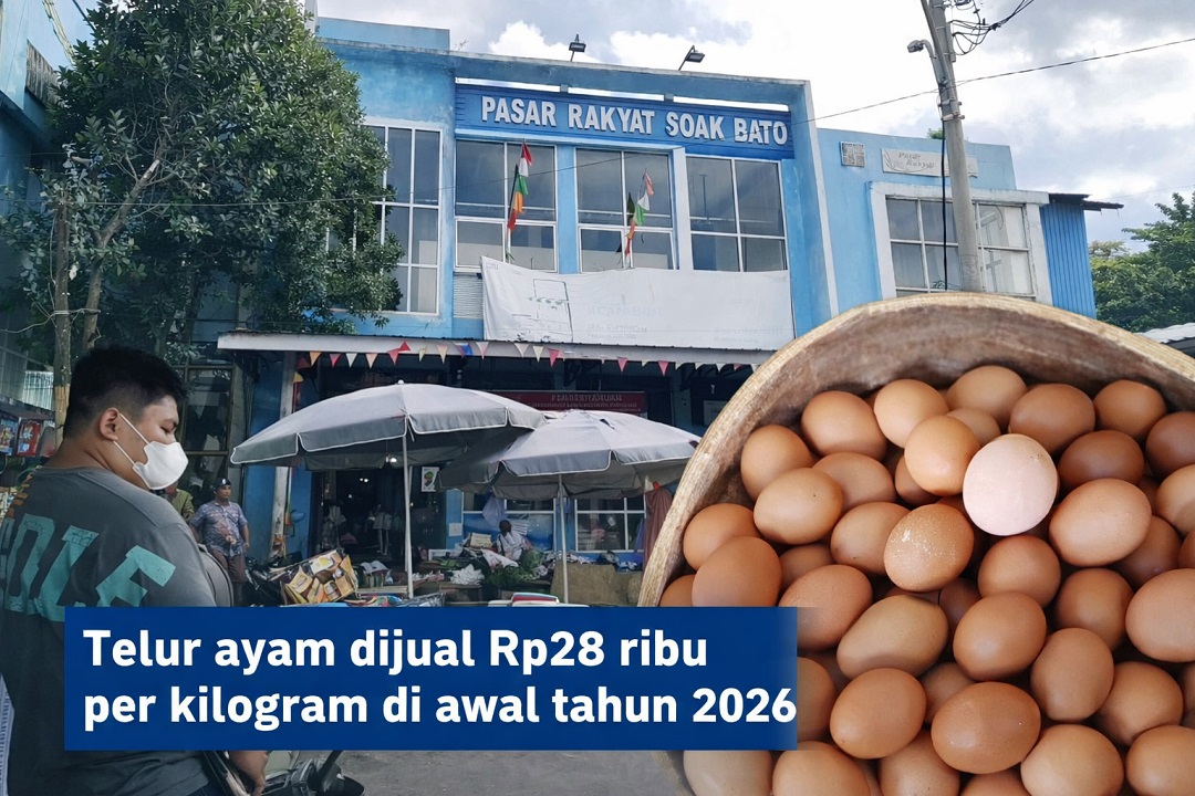  Awal 2026 Harga Telur Palembang Bertahan Rp28 Ribu, Efek MBG dan Jelang Puasa
