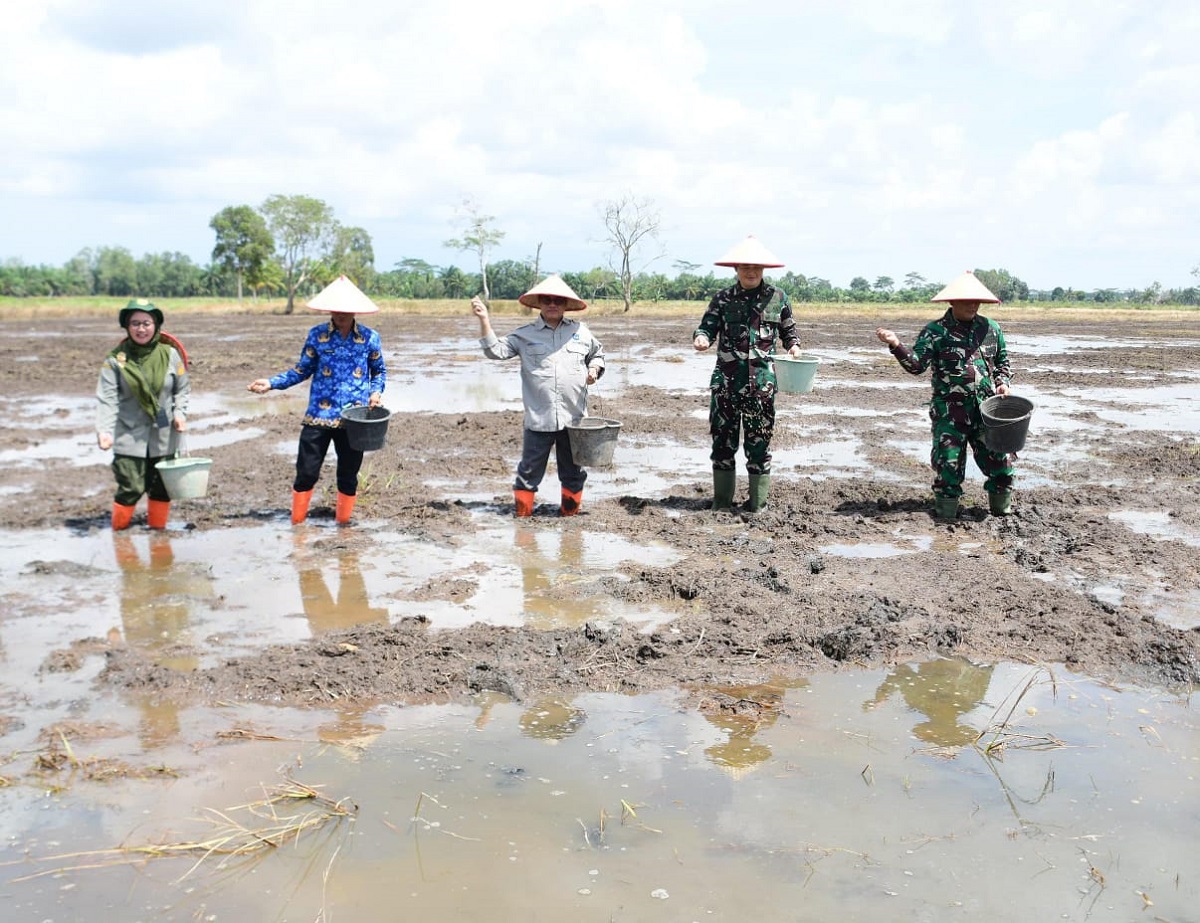 Ciptakan Lumbungan Pangan, TNI AD Lakukan Opla di OKI