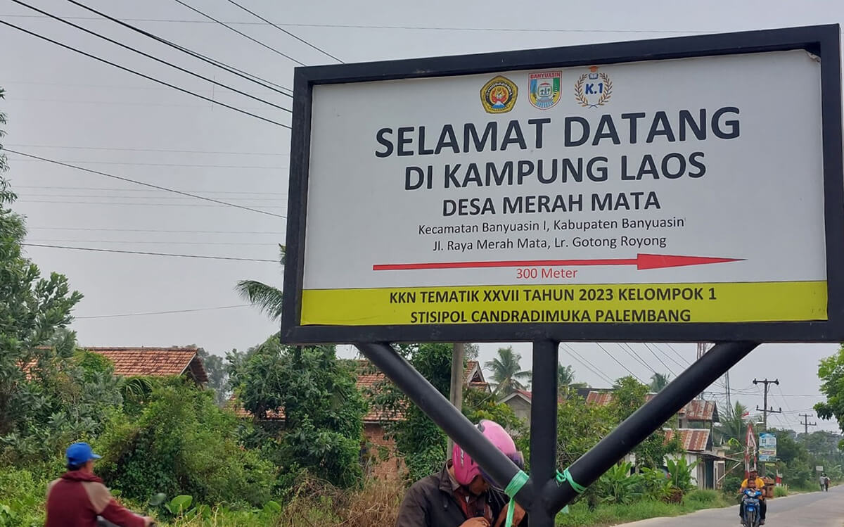 Petani di ‘Kampung Laos’ Tetap Bertahan Meski Harga Lengkuas di Banyuasin Turun Drastis