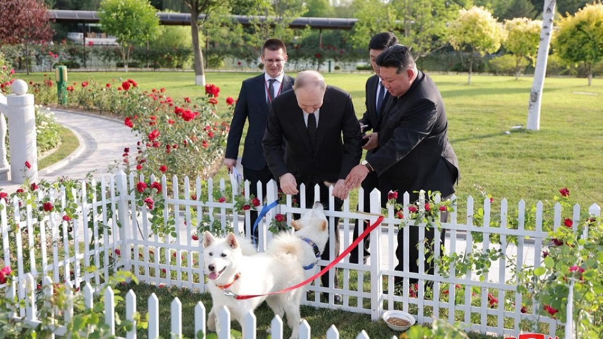  Kim Jong-Un Memberi Presiden Putin Dua Ekor Anjing Pungsan