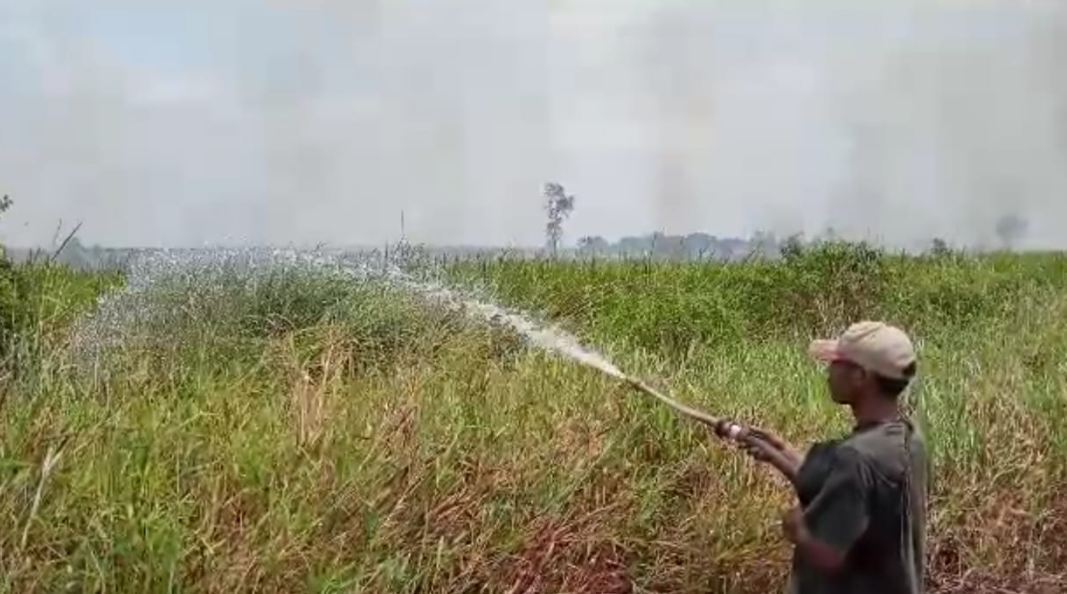 Kebakaran Hutan dan Lahan Tidur di Ogan Ilir, Polres Selidiki Pelaku