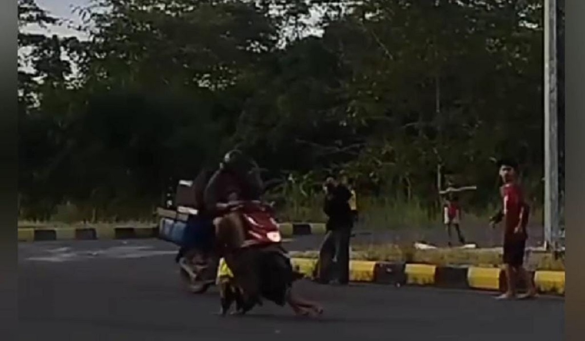 Joging Ditengah Exit Tol Simpang Celikah Kayuagung, Puluhan Anak-anak ini Membahayakan Pengendara! 