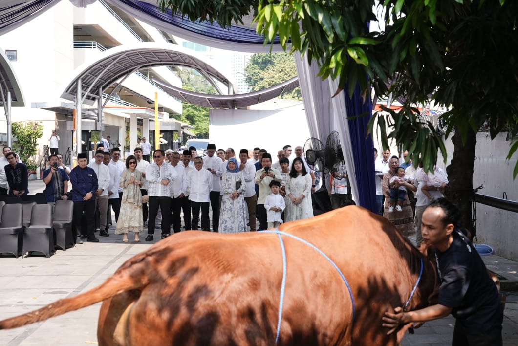 Insan BRILiaN Berbagi 961 Hewan Kurban pada Idul Adha 1446 H