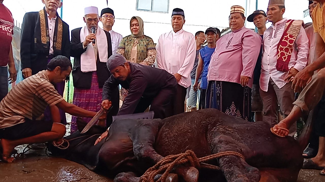 Bupati Pimpin Salat Id dan Serahkan Hewan Kurban Presiden Prabowo