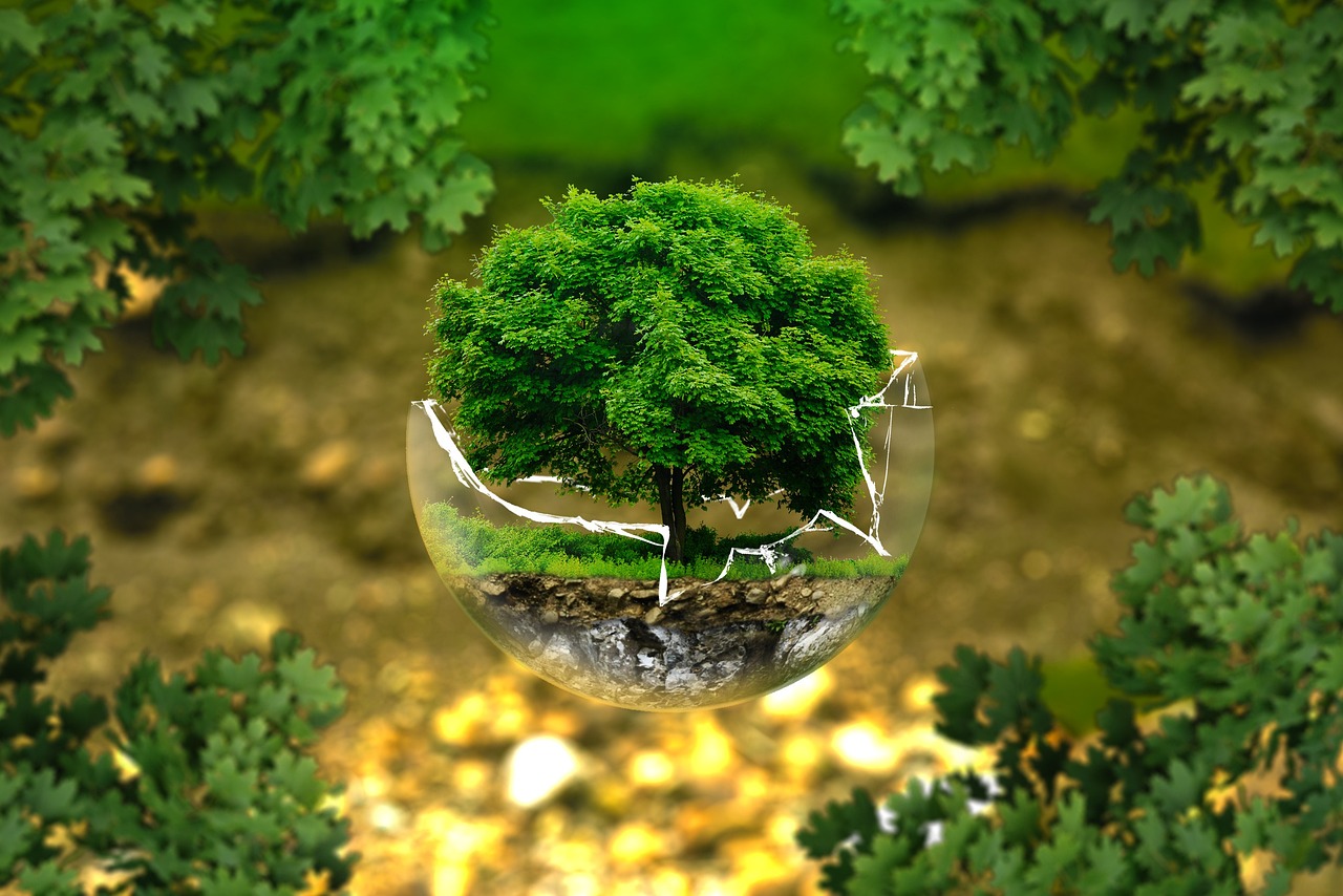 Sampah Dibuang? Sayang! Bisa Jadi Ecoenzyme Lho!