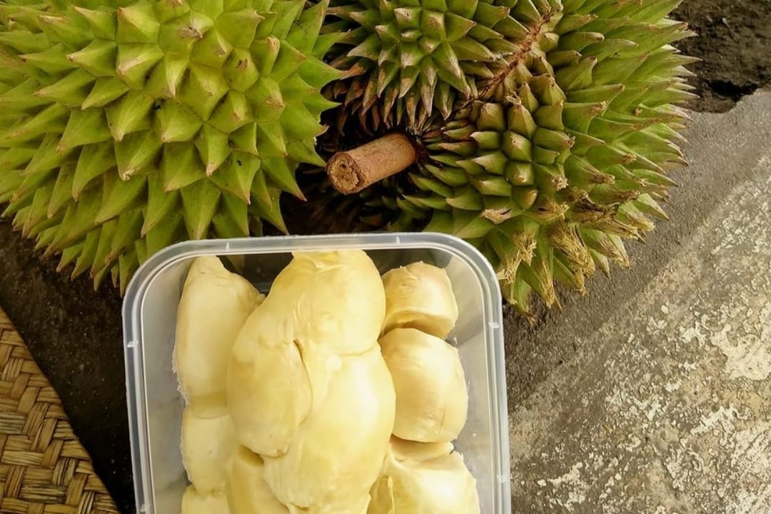Pecinta Si Raja Buah Harus Coba Dian Imbe alias Durian Rimba dari Muba yang Memiliki Rasa Jauh Lebih Nikmat
