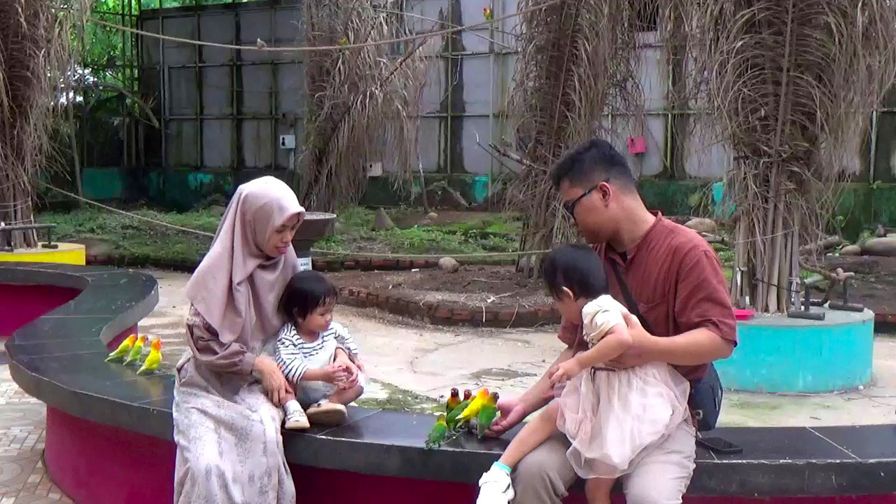 Palembang Bird Park Jadi Favorit Warga Berwisata saat Libur Panjang