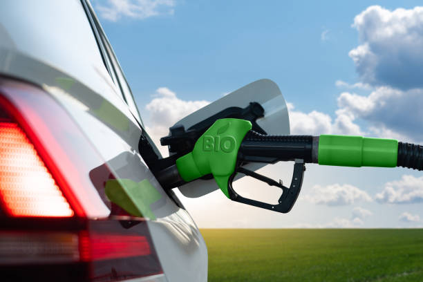 Industri Otomotif Responsif Terhadap Rencana Penerapan Program Biodiesel B40 Tahun 2025