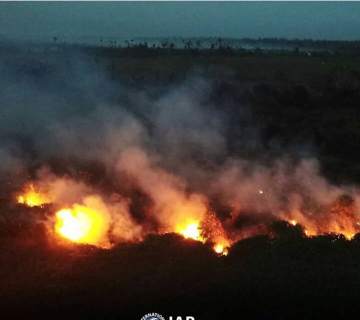 Kebakaran Hutan dan Lahan: Ancaman Global yang Memerlukan Tindakan Segera