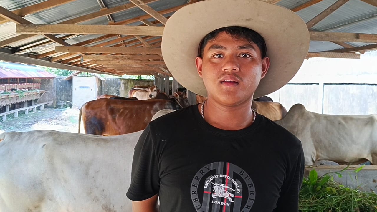 Strategi Marketing Beli 10 Gratis 1, Sapi Kambing Kurban Habis Terjual