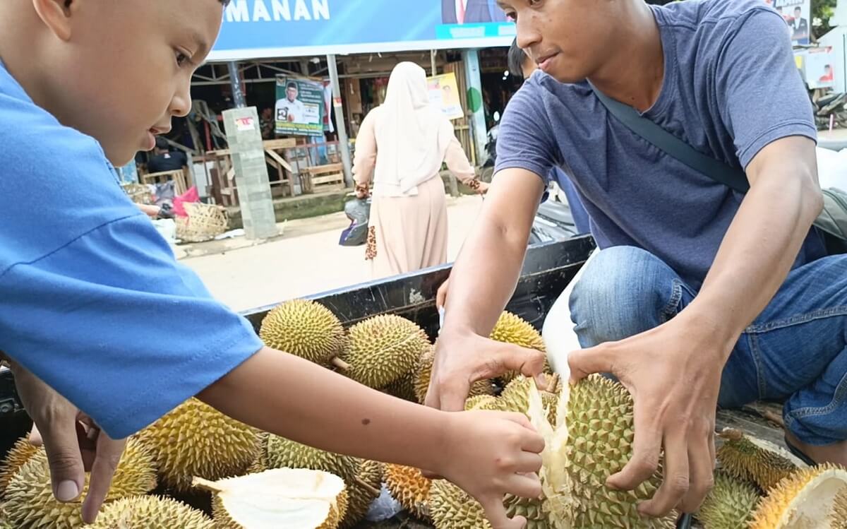 Musim Durian Tiba, Penjual Si Raja Buah di Palembang Bersukacita Raup Kenaikan Omzet Mencapai 80 Persen