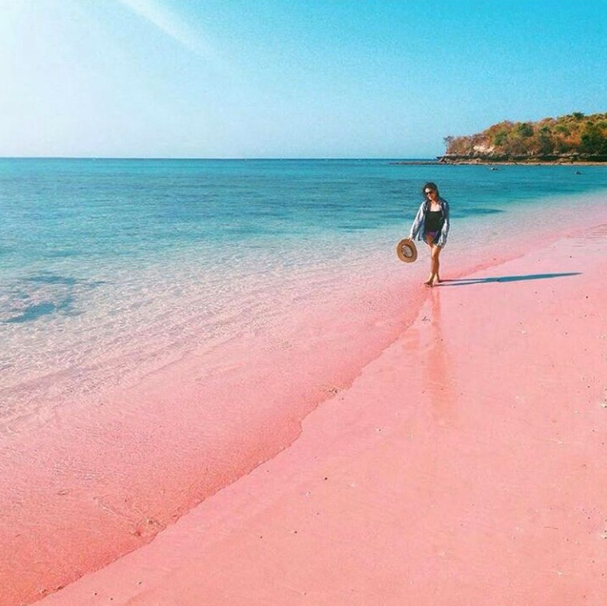 Pesona Memukau Pantai Pink Lombok: Surga Pantai Berwarna-warni di Pulau Seribu Masjid