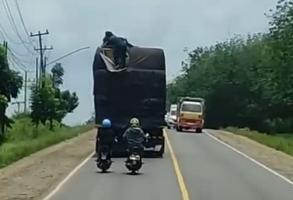 Aksi Bajing Loncat Di Jalintim Banyuasin, Sopir Ketakutan 