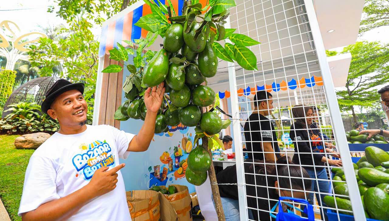 Petani di Desa Baran Gembongan Berhasil Kembangkan Budidaya Alpukat Berkat Program BRI Klasterku Hidupku