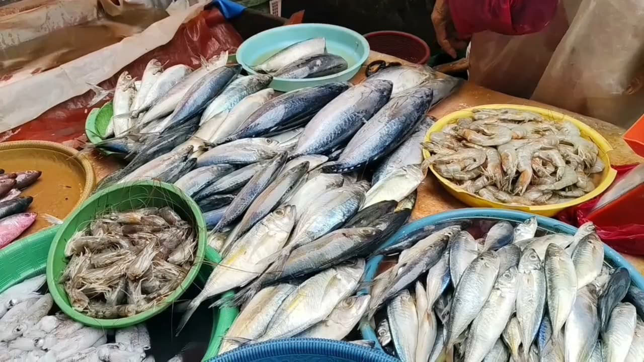 Awal 2026, Harga Ikan Laut di Pasar Kuto Palembang Alami Kenaikan
