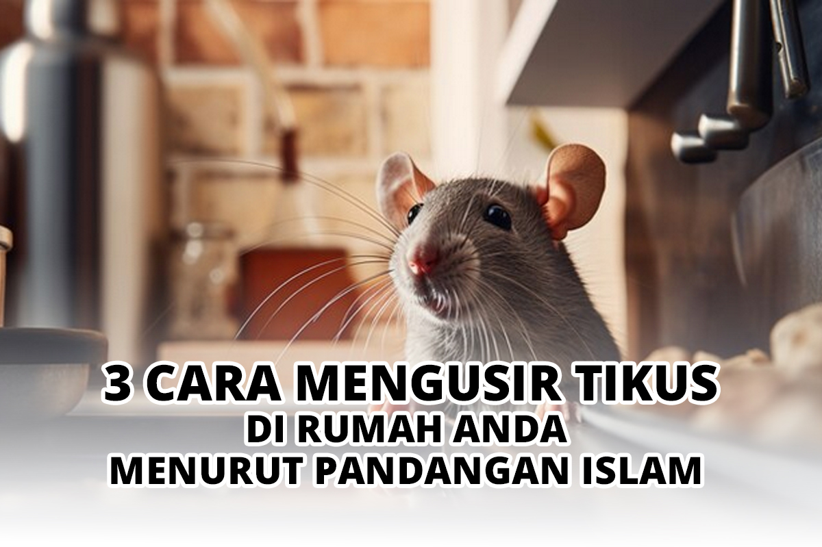 3 Cara Mengusir Tikus di Rumah Anda Menurut Pandangan Islam 