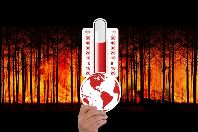 Bahaya Efek Rumah Kaca bagi Keberlanjutan Bumi, Pemanasan Global dan Perubahan Iklim Ekstrem Kian Nyata!