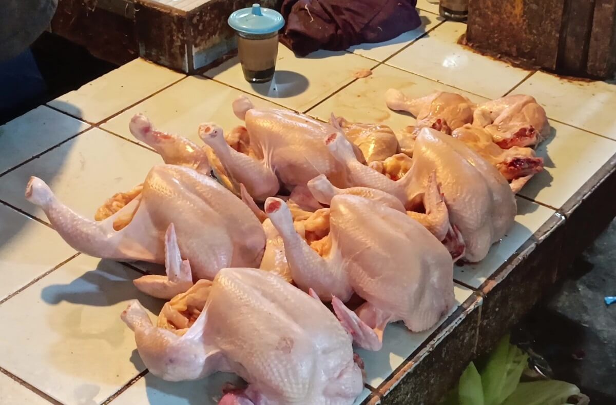 Jelang Natal dan Tahun Baru, Harga Ayam Potong di Palembang Masih Stabil