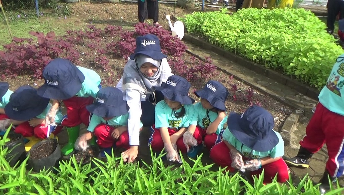 40 petani cilik TK Pusri lakukan penanaman sayur di Agro Edu Park 