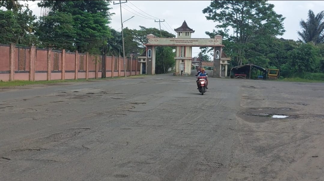 Jalan Syakyakirti Rusak, Warga Gandus Khawatirkan Keselamatan Mengendara