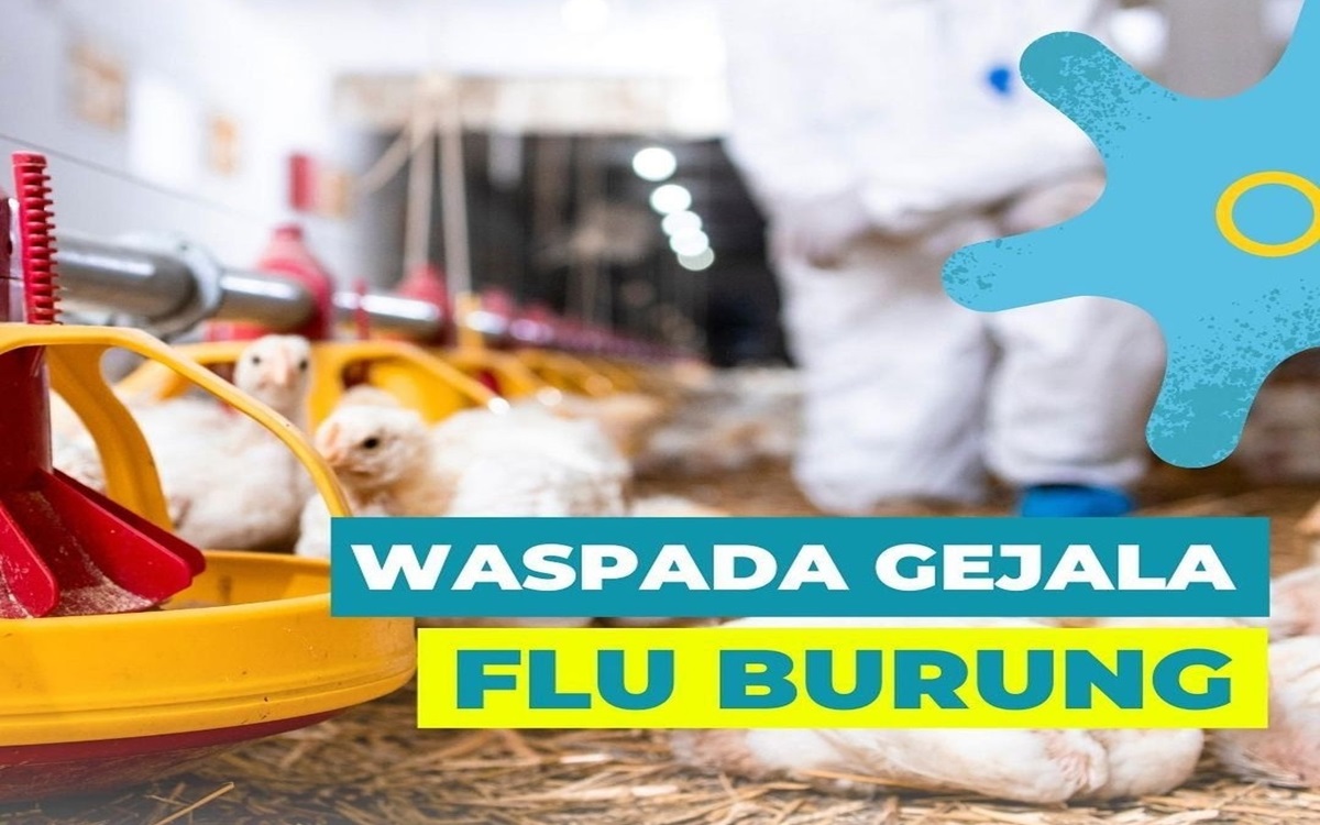 WHO Umumkan Kasus Kematian Pertama di Dunia Akibat Strain Baru Flu Burung