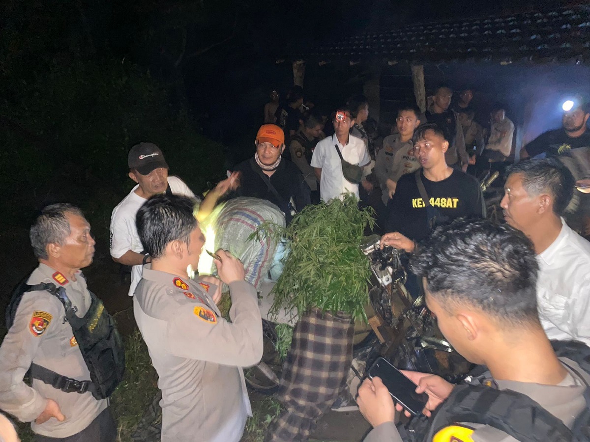   Demi Berantas Narkoba, Kapolres Empat Lawang Rela Tempuh 9 Jam Berjalan Kaki Temukan 2 HA Ladang Ganja