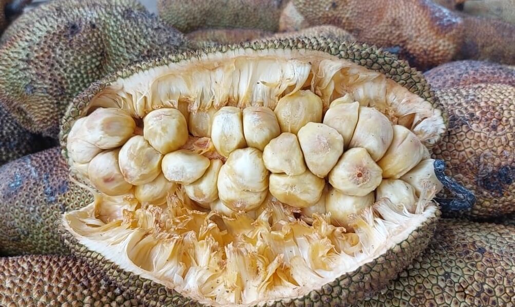 Belum Musimnya, Harga Buah Cempedak Bangka di Jalintim Banyuasin Masih Mahal