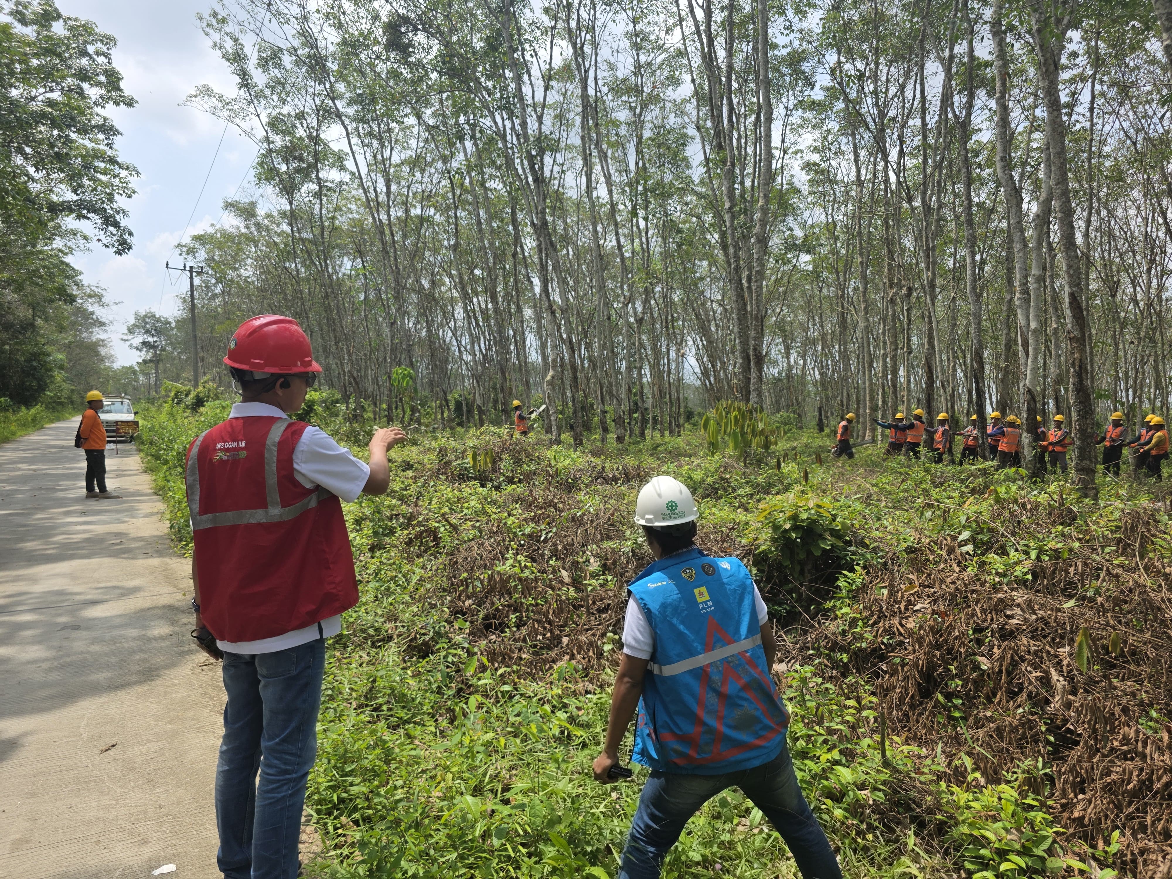 PLN ULP Tugumulyo Gencar Perangi Gangguan Infrastruktur Listrik