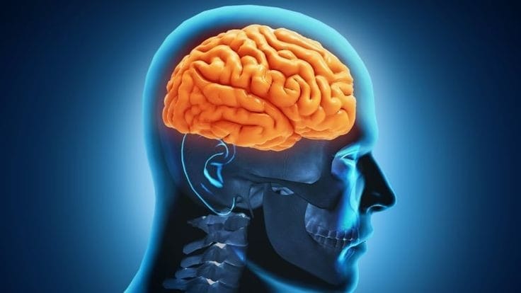 Mau Menjaga Kesehatan Otak, Berikut Ini 7 Tips Yang Jitu!