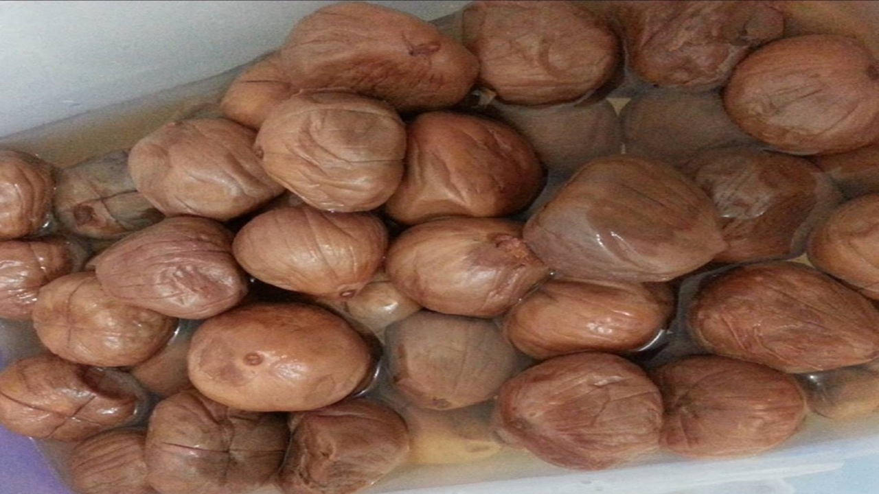 Manisan Asam Payo Sensasi Asam Segar khas Sumatera