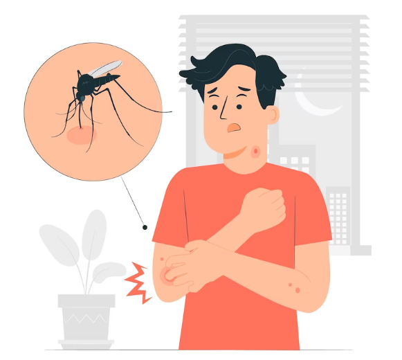 Tak Disadari, Ternyata Ini Penyebab Banyak Nyamuk di Dalam Rumah