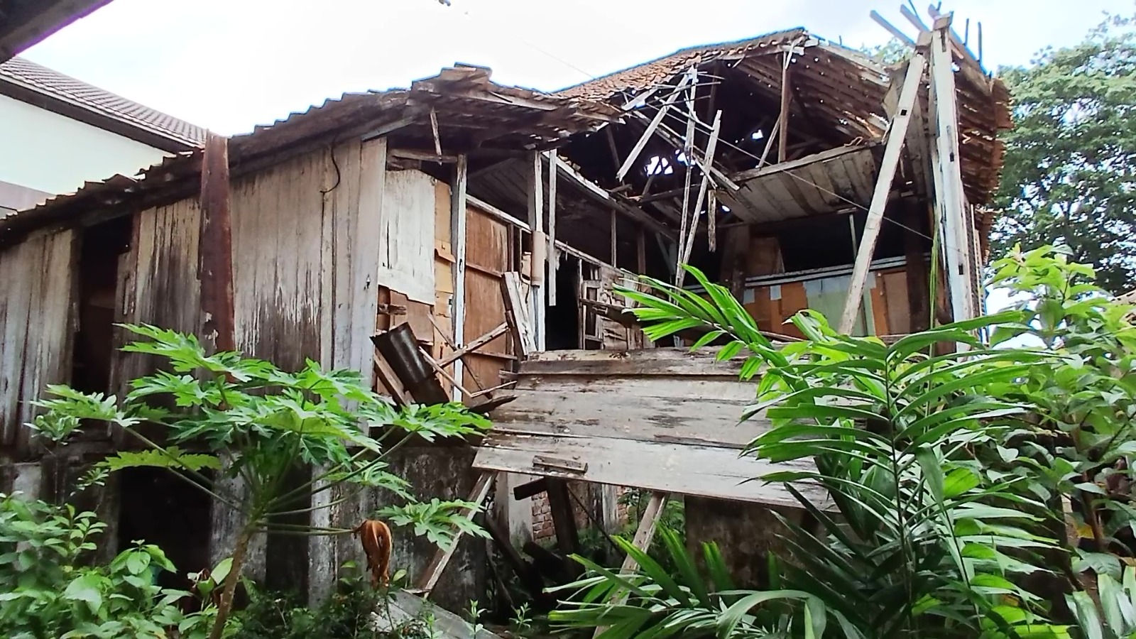 Kondisi Gedung Sejarah 5 Hari 5 Malam Palembang Nyaris Roboh