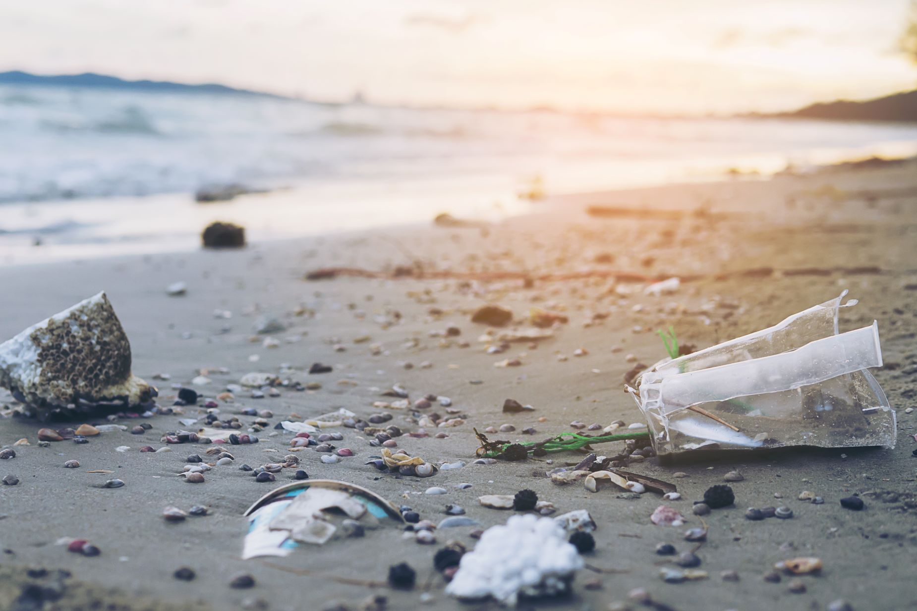 Bahaya Mikroplastik Bagi Kehidupan Manusia