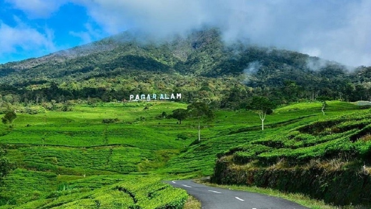 Gunung Dempo, Tujuan Pendaki Dengan Perkebunan Teh di Puncak Pegunungan