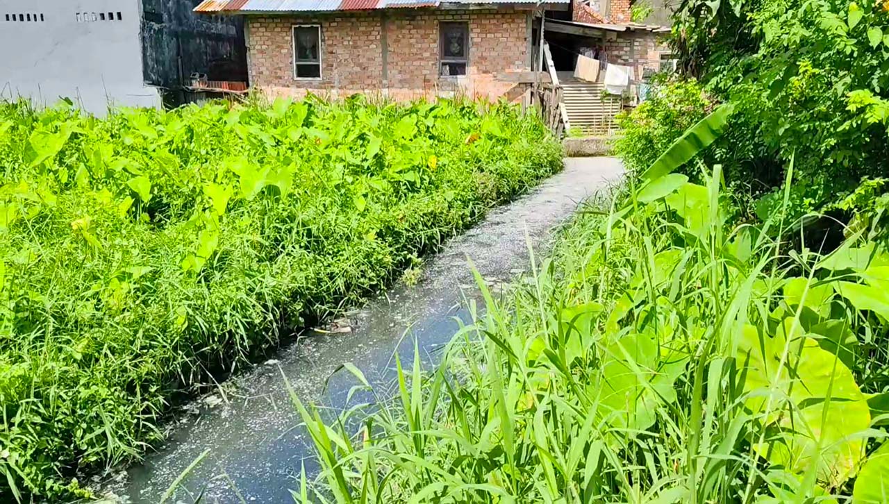 Satpol PP Palembang Panggil 13 Pelaku Usaha Produksi Tahu Pencemar Lingkungan
