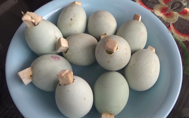Proses Pembuatan ‘Telok Ukan’ Telur Bukan Sembarang Telur Kuliner Khas Kota Palembang