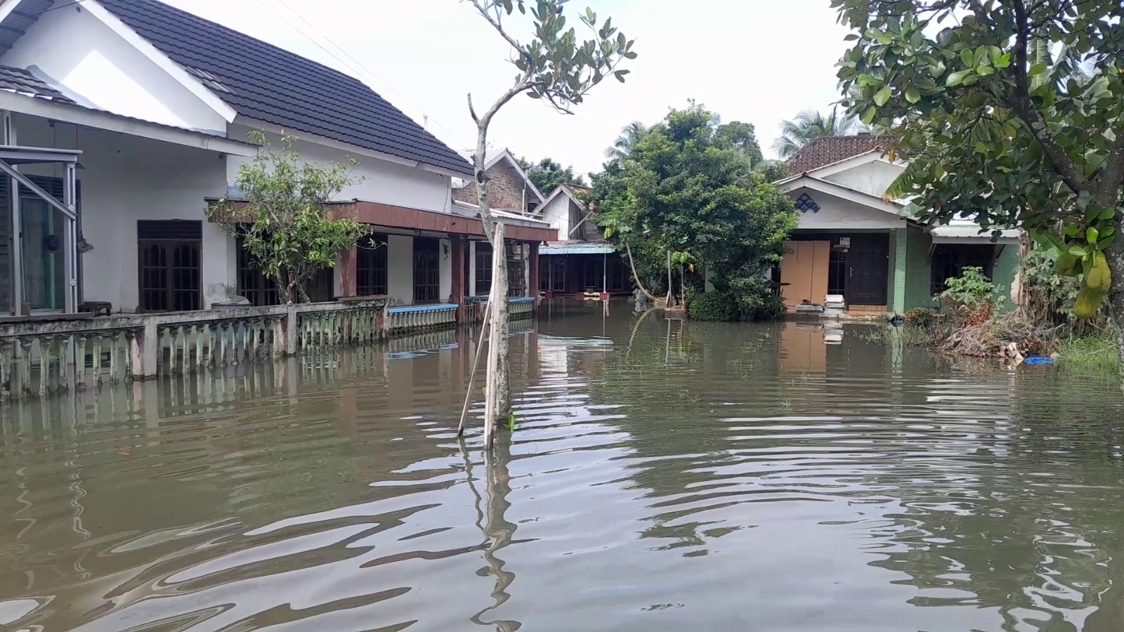 Banjir Ganggu Aktifitas Warga di Kelurahan 2 Ilir