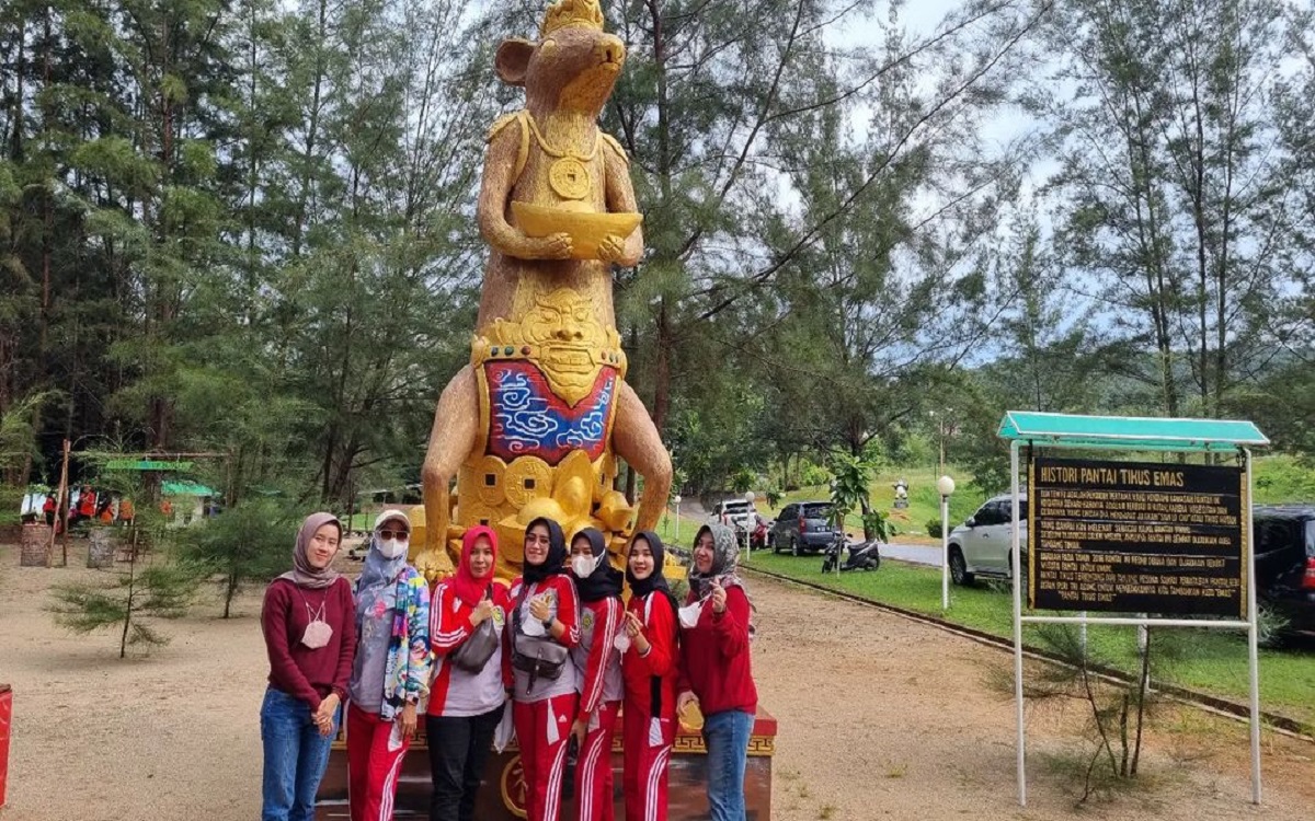 Pantai Tikus Emas: Wisata Pantai Alami Dengan Sentuhan Pasir Putih dan Pohon Cemara