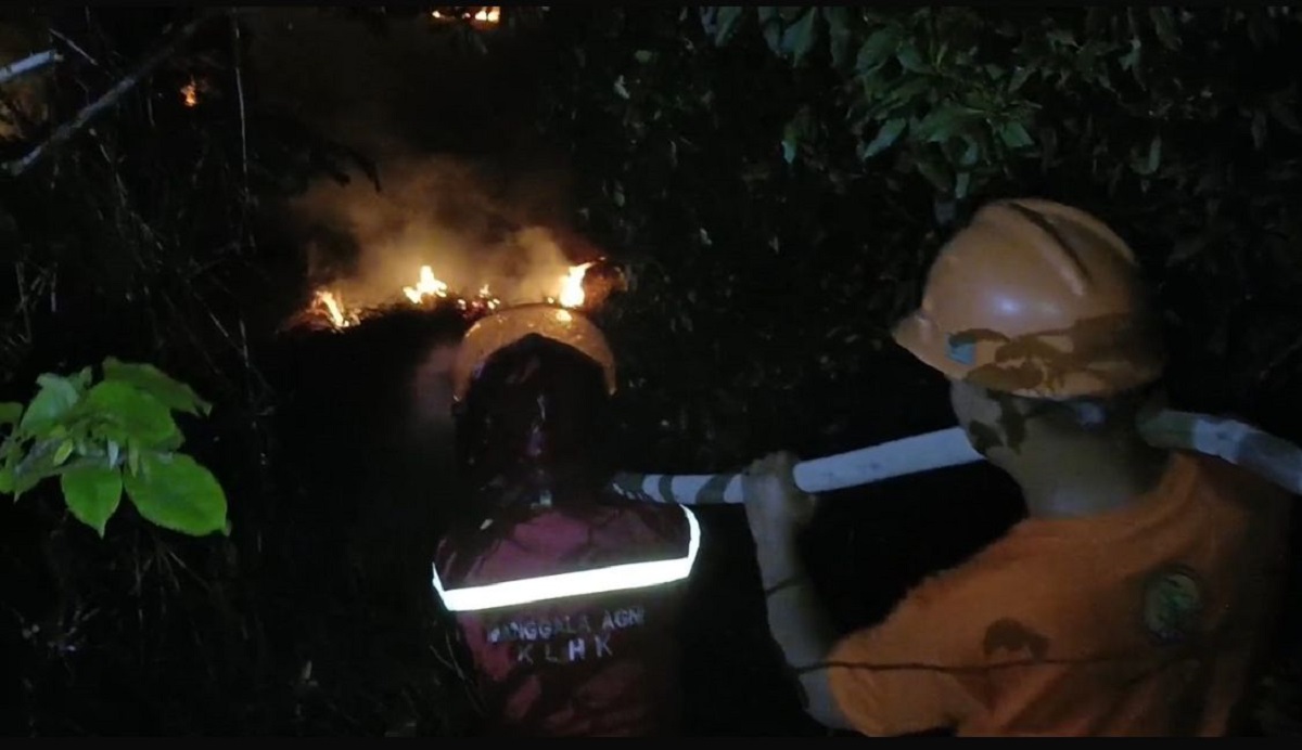 Karhutlah Kembali Terjadi di Sumsel, Sekitar 2 Hektare Lahan di Ogan Ilir Mulai Terbakar
