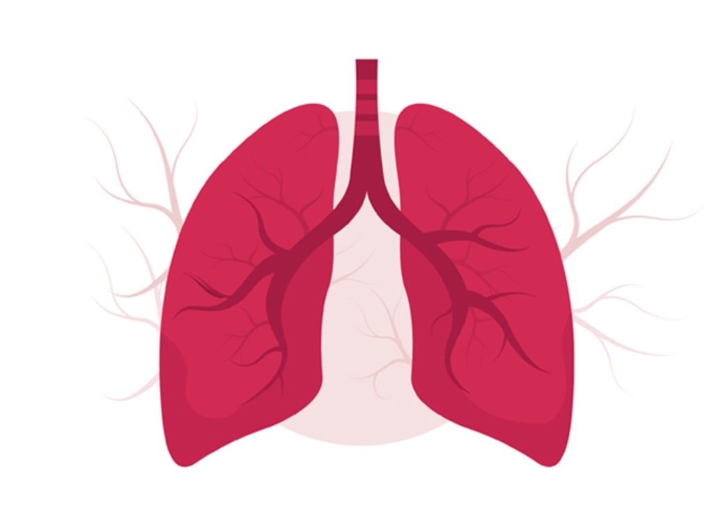Rahasia Tersembunyi! 14 Cara Menjaga Paru-paru Anda dari Ancaman Polusi Udara yang Mematikan!