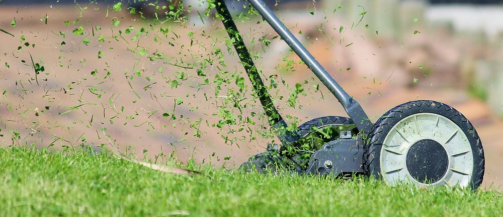 Mesin Potong Rumput 2026: Pilihan Praktis untuk Perawatan Taman dan Lahan