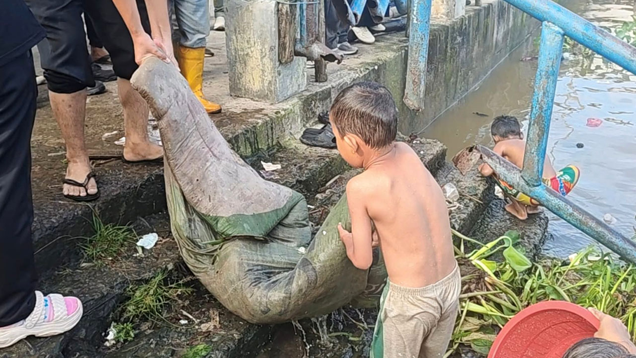 Aksi Bersih Sungai Musi Berhasil Angkut Lebih dari 1 Ton Sampah