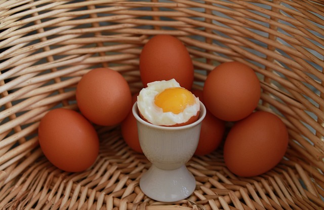 Rahasia Tersembunyi Putih Telur: Inilah Alasan Mengapa Anda Disarankan Makan Putih Telur Setiap Hari!