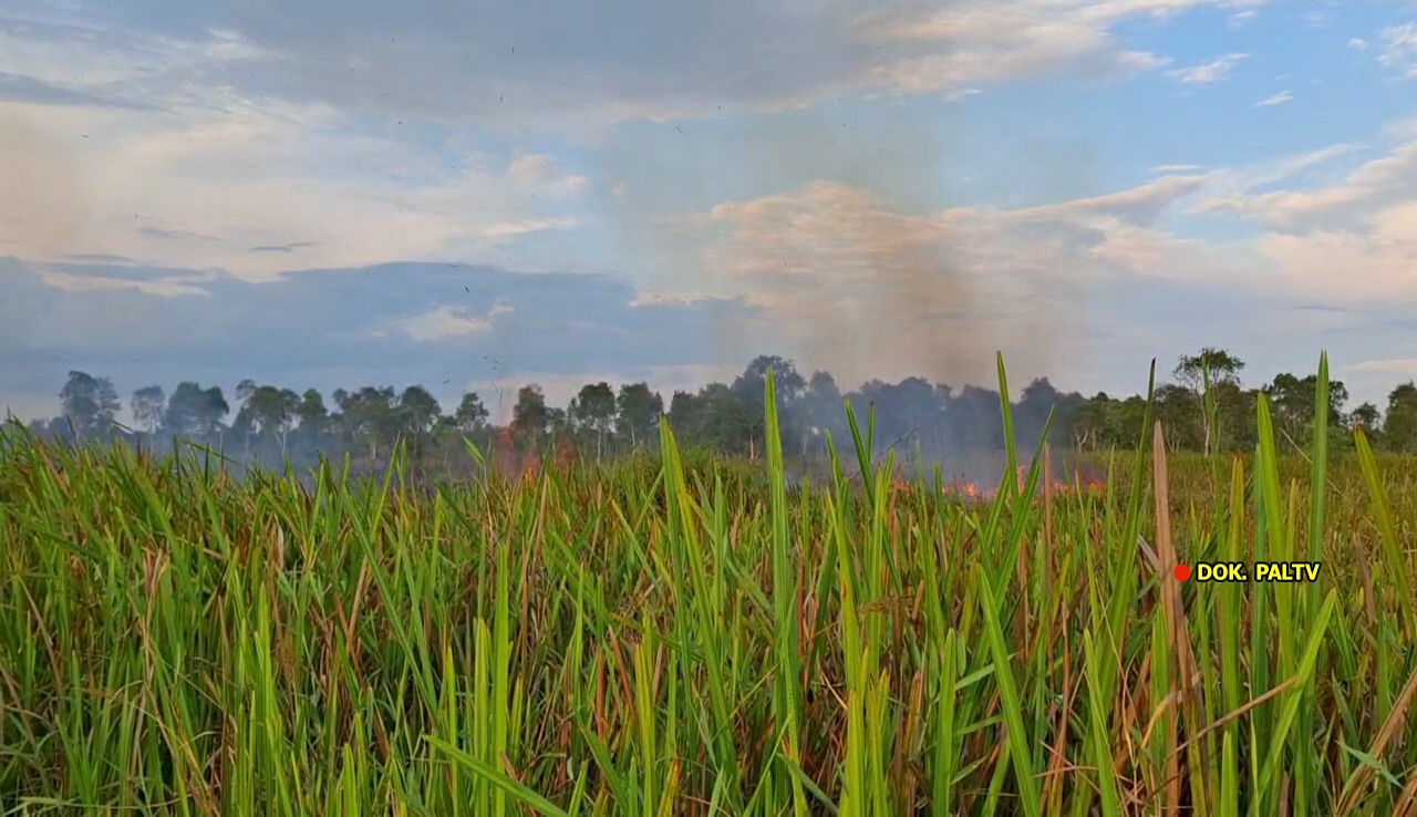 Hingga April 2026, sebanyak 857 Hotspot terdeteksi di Sumsel