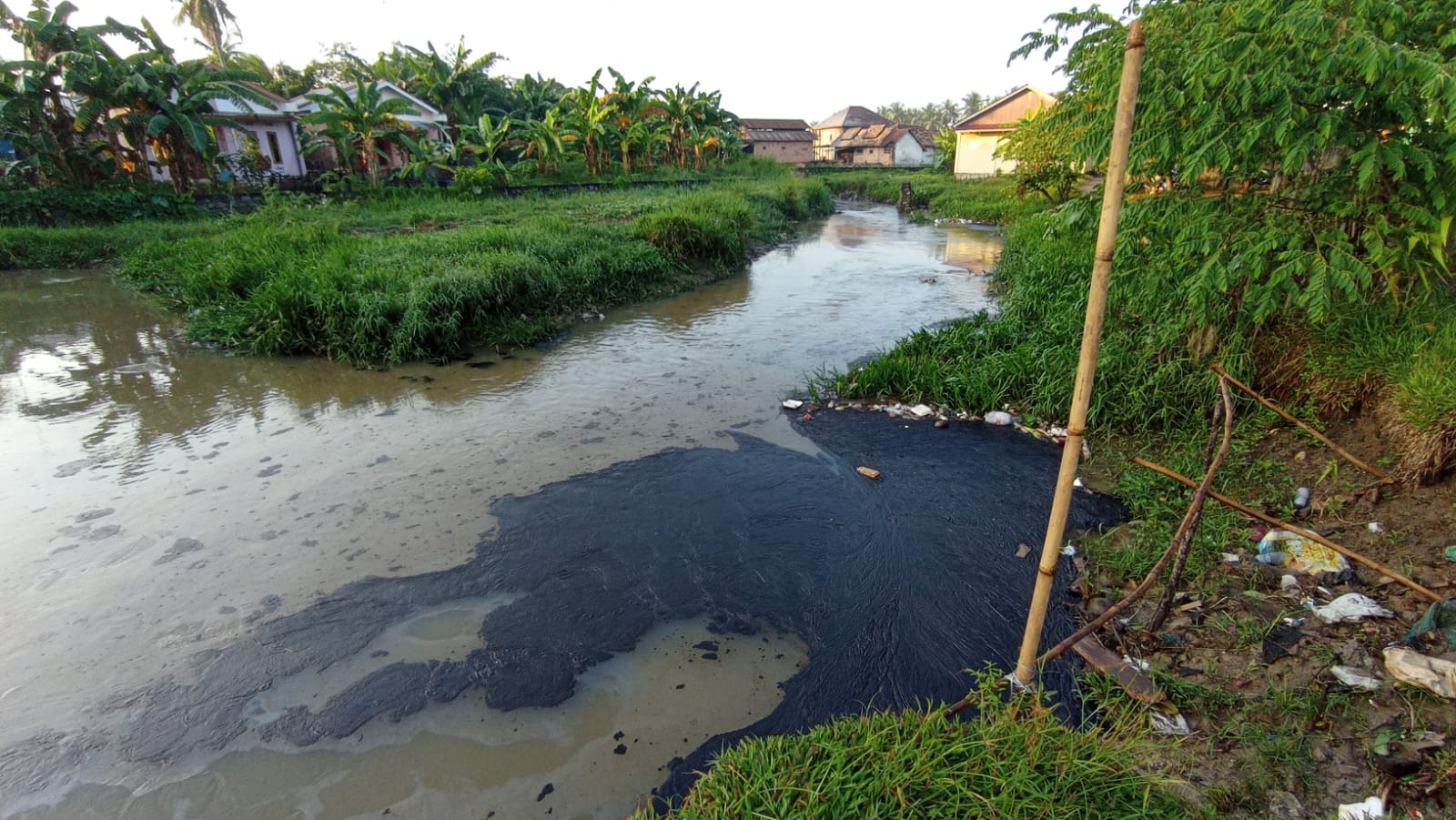 Minyak Mentah Cemari Sungai Kelekar, Walikota Surati Pertamina Pusat