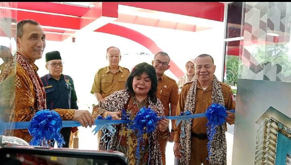 Inspiratif! Peresmian Perpustakaan Banyuasin Dorong Semangat Literasi