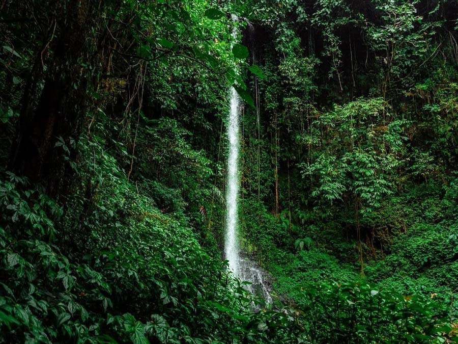 Jejak Sejarah di Balik Keindahan Air Terjun Pipa Belanda di Kepahiang