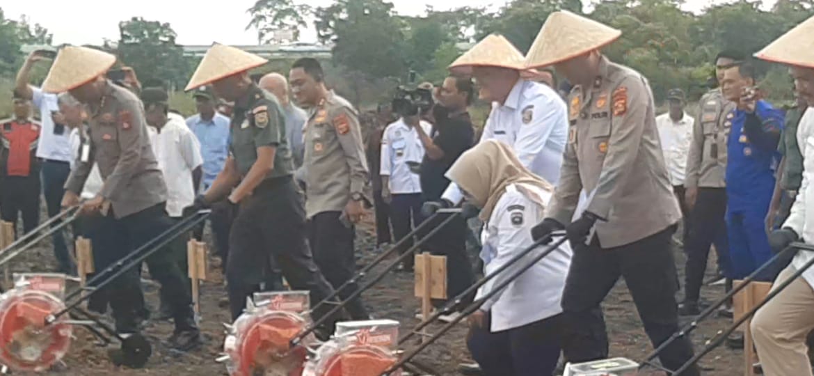Atasi Karhutla, Polda Sumsel dan Polres Ogan Ilir Tanam Jagung di Lahan Gambut