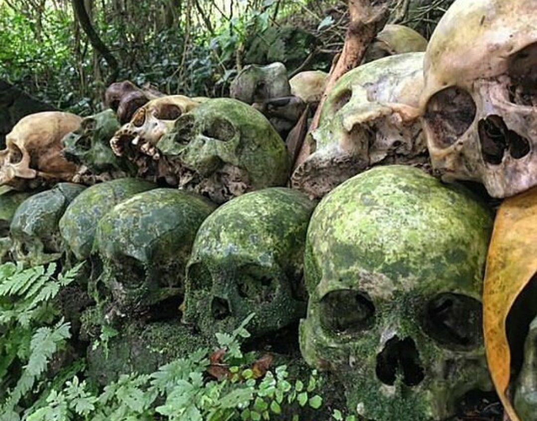 Pemakaman Seram Desa Trunyan Bali: Mayat-Mayat di Atas Tanah Yang Tidak Berbau Busuk Karena Pohon Taru Menyan