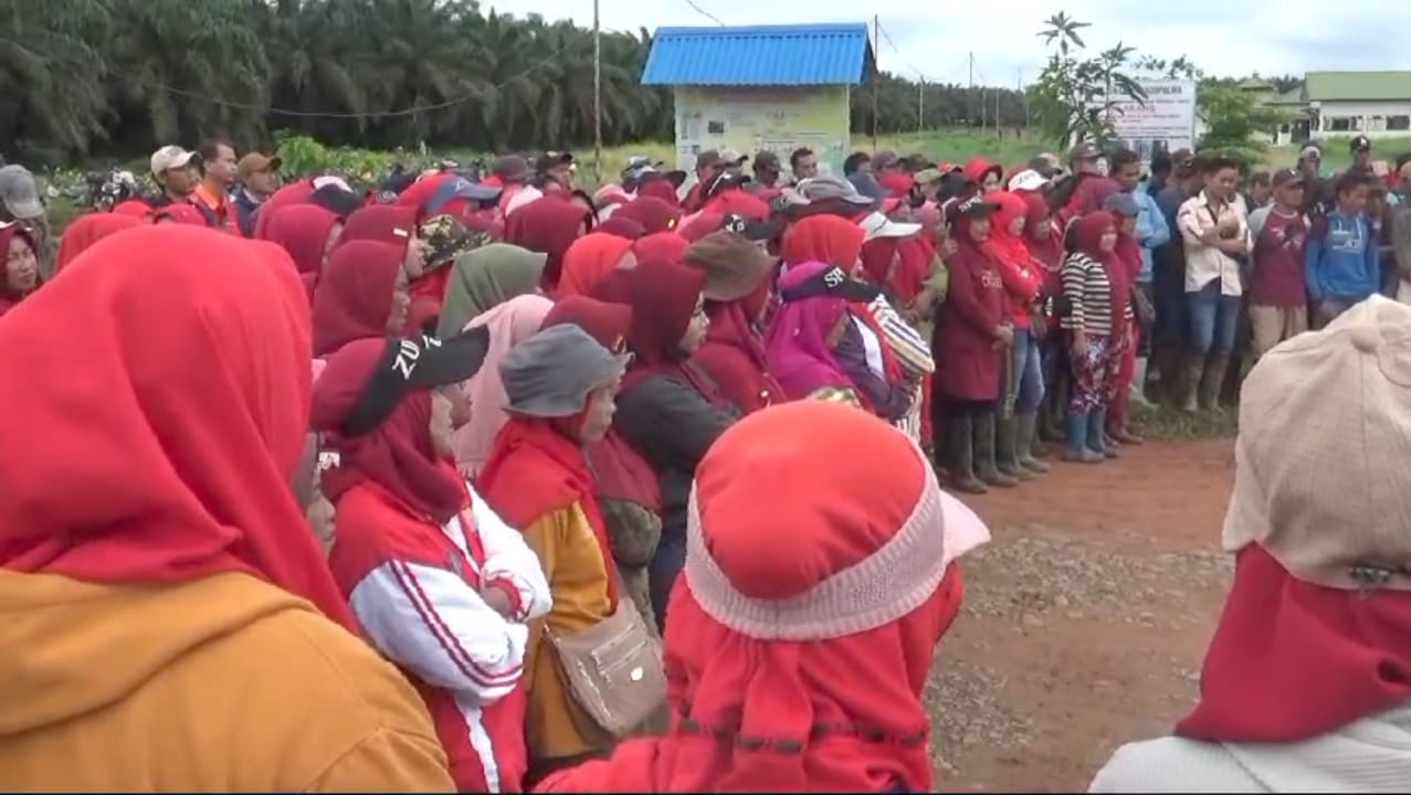 Ratusan Buruh Tuntut Status Karyawan